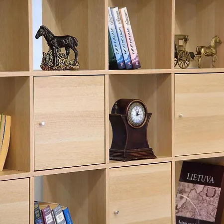 Taurakalnis Вильнюс